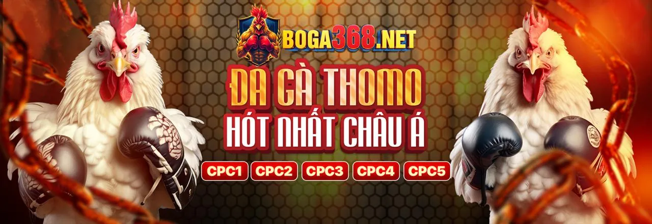 Kho game đa dạng của Caxeng bao gồm cá cược thể thao, casino trực tuyến, nổ hũ